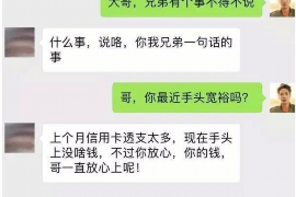 徐州为什么选择专业追讨公司来处理您的债务纠纷？